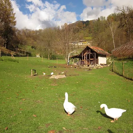 Al Larice Bed & Breakfast