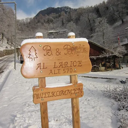 Al Larice 3* Strigno